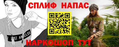 Альфа ПВП Кандалакша