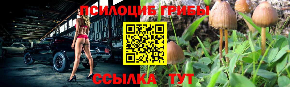 Галлюциногенные грибы мицелий Коркино