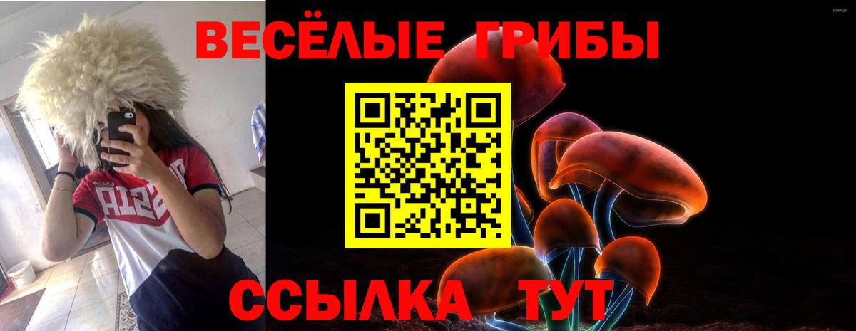 Псилоцибиновые грибы MAGIC MUSHROOMS  Вход с VPN  Псилоцибиновые грибы ЛСД  Коркино 